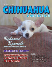 chihuahua-connection-front-.jpg